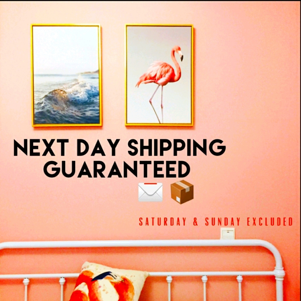 Next Day Shipping Guaranteed
